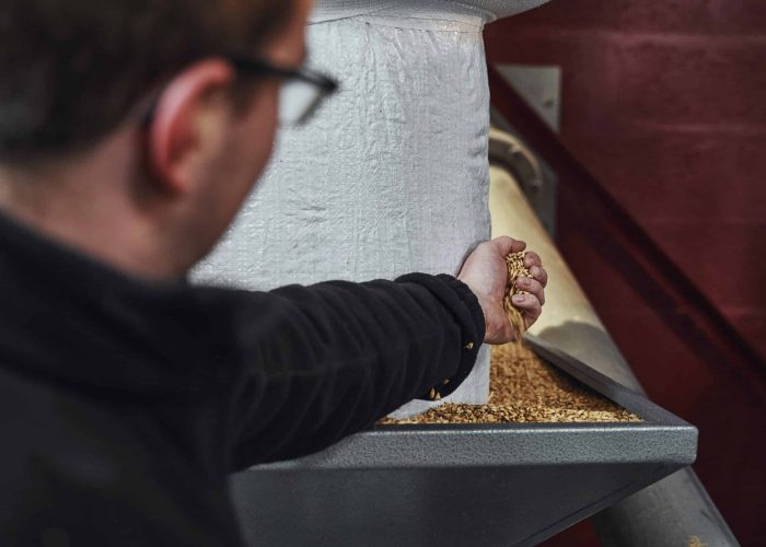 brewing-4 A person inspects malted barley as it flows through processing equipment at the Rozelieures distillery, a key step in whisky production.