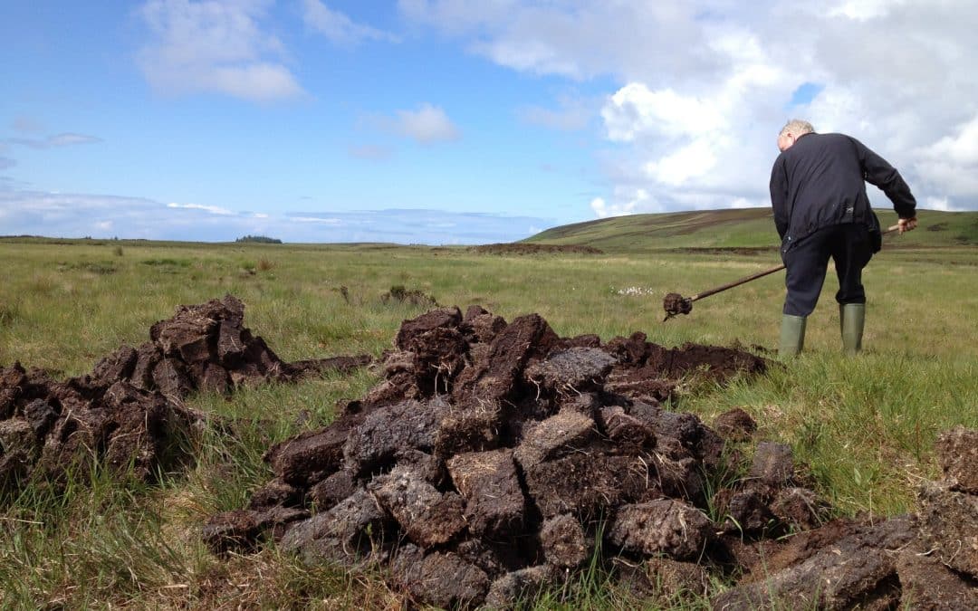 Les secrets du whisky tourbé